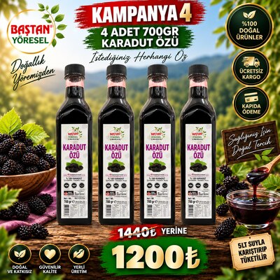 Kampanya 4 - 4 Adet 700gr Karadut Özü
